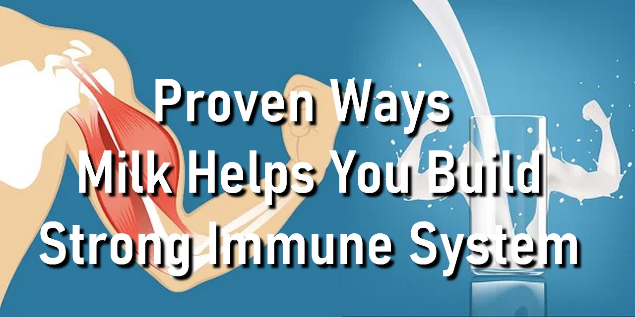Proven Ways Milk Helps You Build Strong Immune System