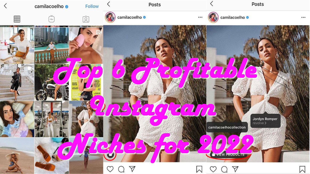 Top 6 Profitable Instagram Niches for 2022