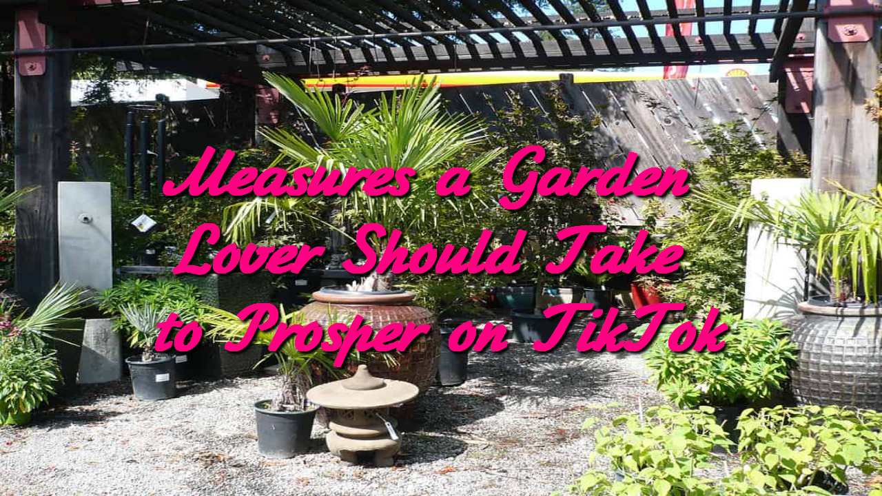 Measures a Garden Lover Should Take to Prosper on TikTok